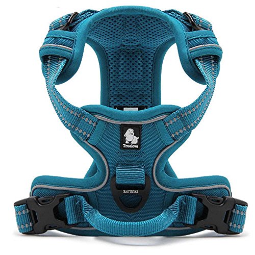 Kismaple Harnais de Poitrine réglable Doux rembourré Harnais pour Chien de Compagnie avec Rayures fluorescentes 3M pour Grand Moyen Petit Chien Harnais de Dressage/randonnée (Bleu, S (43-56cm))