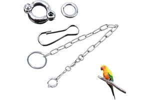ZYOMVUN Bracelet de Cheville pour Oiseau de Compagnie, Cheville Laisse Volante Harnais pour L'Entraînement Marche Pet Calopsitte en Plein Air Ara Corde, Pied Chaîne pour Petit Perroquet Perruche InséParable