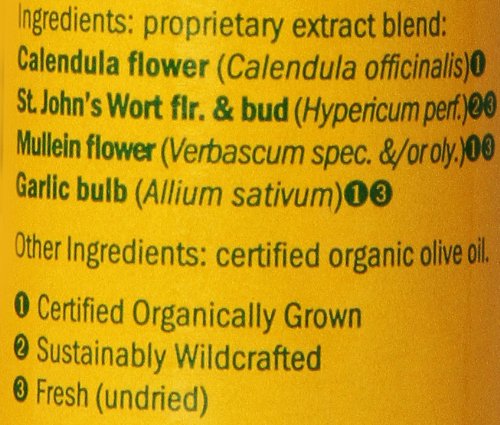 Herb Pharm Mullein Garlic Herbal Oil - 1 Ounce - Image 3