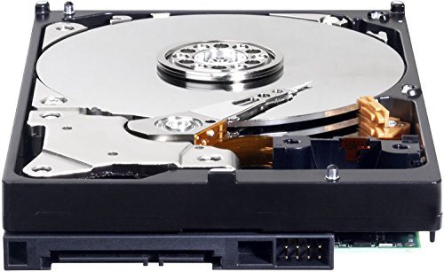 Western Digital WDBMYH0010BNC-ERSN - Disco duro interno de 1 TB  SATA II  2 5  