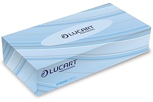 LUCART PROFESSIONAL Lucart 841030 fazzoletti da viso, resistenti, 100 V Confezione da 40)
