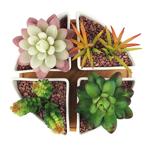 Ideale Per Fiori E Cactus Pattern 6 Innoter Vaso In Ceramica Bianca Con Vassoio In Bambu Gti Com Ng