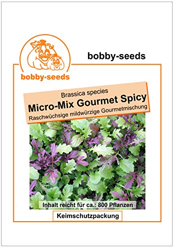 Bobby-Seeds Salatsamen Pflücksalat Micro-Mix Gourmet Spicy Portion - 2
