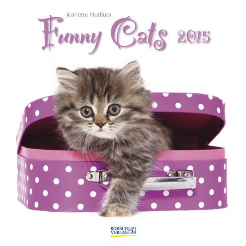 Funny Cats 2015: Broschürenkalender mit Ferienterminen