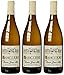 Produktbild Domaine Gérard Millet Sancerre Blanc AOC 2017 trocken (3 x 0.75 l)