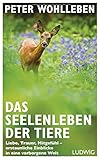 Bücher Neuerscheinungen 2022 - Das Seelenleben der Tiere von Peter Wohlleben