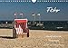 Föhr - Nordfriesische Trauminsel (Wandkalender 2018 DIN A4 quer): Impressionen von der Nordseeinsel Föhr (Monatskalender, 14 Seiten ) (CALVENDO Natur) [Kalender] [Apr 01, 2017] Peußner, Marion by 