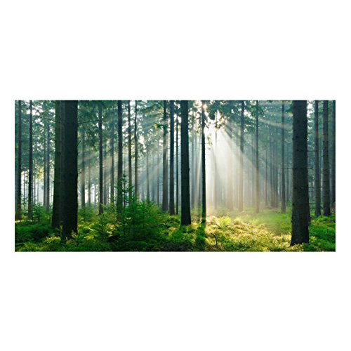 Apalis 108757 Magnettafel Enlightened Forest Memoboard Design Quer Metall Magnet Pinnwand Motiv Wand Stahl Küche Büro, 37 x 78 cm - 2