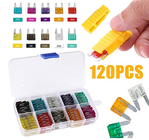 Shuny 120 pcs Fusible de voiture,Pince Fusible Moyenne,Mini fusible de voiture Fuse Assortiment fusible,Ensemble de Fusible pour Auto Truck avec boîtier de stockage