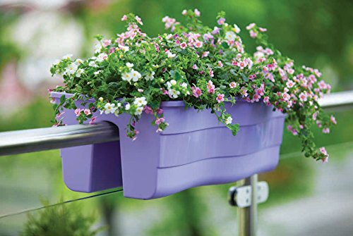 Balkonkiste Blumenkasten Geländerkasten Balkonkasten Wave 60 / H: 20 cm Hell Grün - 7