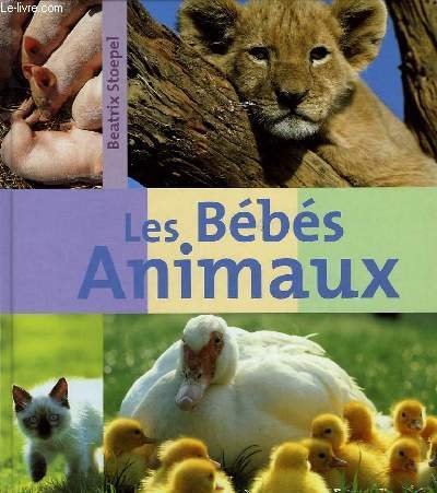 couverture de : Les B&eacute;b&eacute;s animaux
