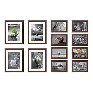 Amazon Brand - Solimo Collage Set of 12 Brown Photo Frames ( 5 X 7 Inch - 8 & 8 X 10 Inch - 4)