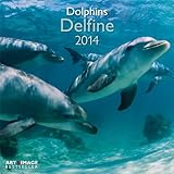 Delfine 2014 Broschürenkalender by 