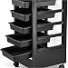 Popamazing Salon SPA Trolley Storage Cart Coloring Beauty Salon Hair Dryer Holder W/wheels