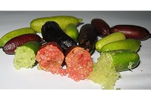 Frutal Arbol Caviar citrico Pack 2 unidades (1 Blanca - 1 Rosa) de Viveros la Berrocosa Alt. Aprox. 35-40 cm