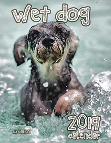 Wet Dog 2019 Calendar (UK Edition)