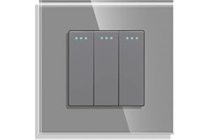 CNBINGO Cambio de Botón Rocker Interruptores con puntos de tela fluorescentes, panel de pared Gris de cristal moderno, interruptor de 3 bandas de 2 vía, 10A 250V