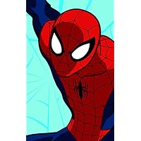 Suchergebnis Auf Amazon De Fur Spider Man Teppiche Laufer