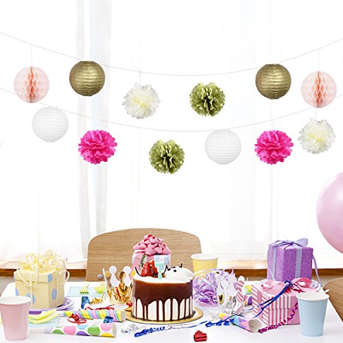 NUOLUX Papier Bienenwabe Kugeln Fan Laternen Papier Pompons für Party Dekoration, 12pcs - 2