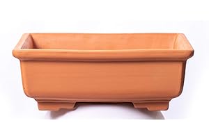 ALFAREROS DAMIAN CANOVAS Maceta DE Barro para Bonsai+Plato.Modelo Kobe.Medidas 28X22X10 Terracota