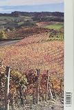 Image de 100% Alba. Ceretto/Crippa. Tra cantina d'eccellenza, territorio e cucina stellata. Ediz. italiana e inglese