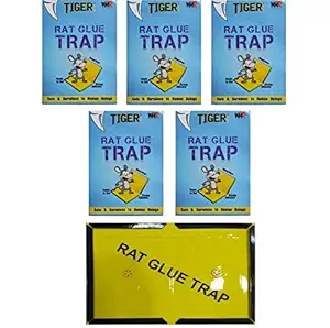 TIGER rat glue trap SET of 5 - Mouse Insect Rodent Lizard Trap Rat Catcher Adhesive Sticky Glue Pad - Non Poisonous - Non Toxic - Odourless - Terminator Ultimate Trap for Rat 9X7 inch