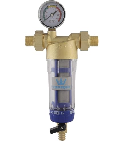 Ancable 2 filtri di ricambio per filtro dell'acqua Grünbeck FS 1 (50 µm senza campana di protezione), filtro per l'acqua domestica, filtro a candela di ricambio per Grünbeck FS-B 1' e Boxer