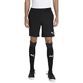 Puma Teamrise Training Shorts - Men's Shorts