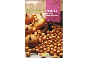 Bulbo de cebolla para plantar variedad "paja virtudes" 350gr - Rocalba