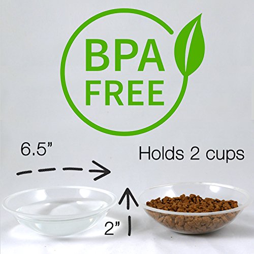 Elevated Dog Cat Bowls By Fox Fern Whisker Fatigue Proof 4
