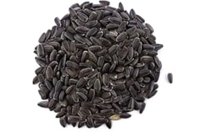 SkySprouts Sunflower Microgreens Seeds - Black Oil, 1kg 1kg - Non-GMO |High Germination