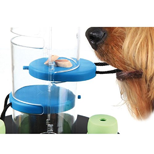 Dog-Activity-Interactive-Toy