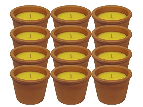 Roura - Mini Candela in Terracotta alla citronella, 60 x 75 mm, Cera, Multicolore, Taglia Unica