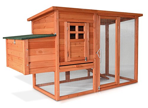 Cages Poulailler Poules