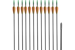 vidaXL 12x Flèche d'arc Recourbé Fibre de Verre 30" 0,6 cm pour Tir à l'arc