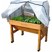 Suchergebnis auf Amazon.de für: gewächshaus klein