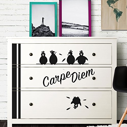 Wandaro W3346 Wandtattoo Carpe Diem + Vögel passend für IKEA HEMNES Kommode azurblau