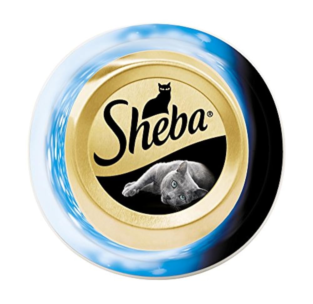 Шеба певец фото изображение 138