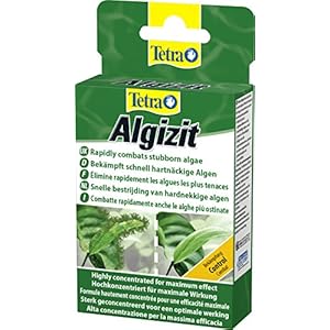 [Gesponsert]Tetra Algizit (vordosiertes Algenmittel mit schneller Biozid- Wirkung), 1er Pack (1 x 10 Tabletten)