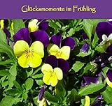 Image de Glücksmomente im Frühling