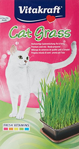 Vitakraft-24031-Herbe--Chat-Cat-Gras