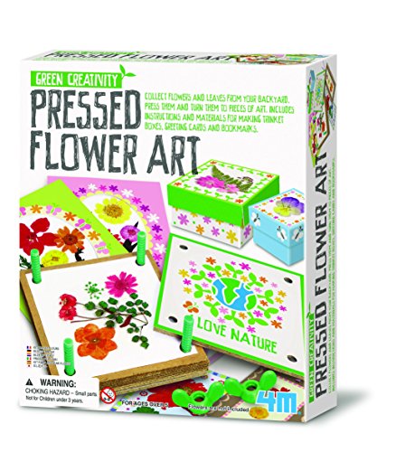 Great gizmos pressed flower art collage 4194