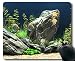 Produktbild Mauspad-Spiel, tropisches Fischthema Voll von der Persönlichkeitsmausunterlage
