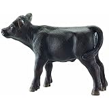 La raza bovina Angus es originaria de Aberdeen, Escocia