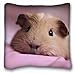 Custom ( Animals guinea pig snouts fluffy down cute ) Pillow Cushion Case Cover One Sides Printed 16x16 Inches suitable for California King-bed PC-Yellow-1414
