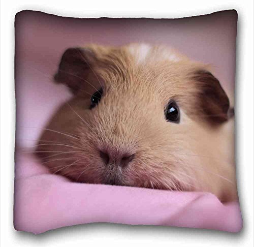 Custom ( Animals guinea pig snouts fluffy down cute ) Pillow Cushion Case Cover One Sides Printed 16x16 Inches suitable for California King-bed PC-Yellow-1414