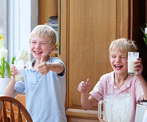 Premium Nut Milk Bag – Including Free Recipe E Book – Large Food Grade Reusable Super Fine Strong Nylon Mesh Bag – Smooth Milks & Juices Every Time ★ With No Risk 100% Money Back Guarantee. Love Tree Products - 7