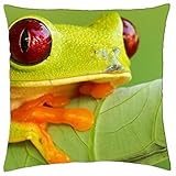 Rana linda - Funda de cojín (18