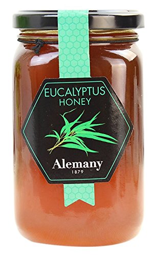 Preisvergleich Produktbild Eukalyptushonig (Mel d'Eucaliptus) 500g Glas