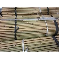 Suchergebnis auf Amazon.de für: tomatenstäbe - Gartenarbeit: Garten